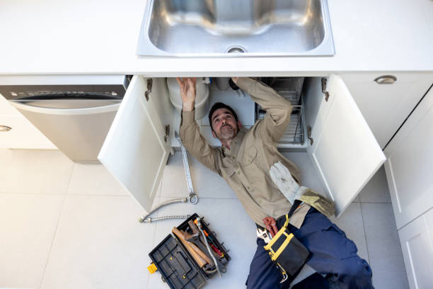 Best Local Plumber Services  in Wylie, TX
